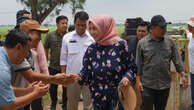 Kementan Tinjau Lokasi Climate Smart Agriculture di Subang