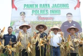 Program Ketahanan Pangan, Polres Inhu Produksi 4 Ton Jagung