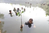 Komunitas STC Heroes Tanam Pohon Mangrove di Taman Wisata Angke