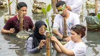 Gelar Aksi Peduli Bumi, PT Delta Sukses Teknologi Tanam 1.000 Pohon Mangrove