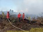 BPBD Catat 24 Kejadian Karhutla di Sumsel Hingga Juli 2025