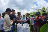 Bulog Lebak-Pandeglang Serap Beras Petani hingga 18.500 Ton, Melebihi Target