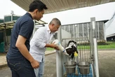 Datang ke KIN Dairy Farm, Gading Marten Beri Nama Seekor Sapi