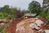 Aktivis Soroti Dugaan Alih Fungsi Lahan di Dekat Kawasan Hutan Lindung Gunung Halimun Salak
