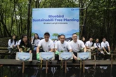 Peduli Lingkungan, Bluebird & Benih Baik Tanam 530 Bibit Mangrove di 2 Titik Pesisir Ini