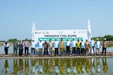 Dukung Program Jateng, Pelindo Petikemas Tanam 50.000 Bibit Mangrove di Demak
