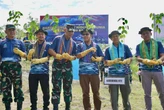 Peringati Hari Lingkungan Hidup Sedunia, Pelindo Tanam 5.000 Pohon di Embung Noelpopo
