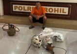 Polda Riau Tangkap Penganiaya Hewan di Rokan Hilir, Dua Ekor Anjing Diselamatkan  