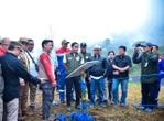 Sedih Lihat Sayap Elang Patah, Menhut Imbau Masyarakat Tidak Menangkap Satwa Liar