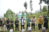 PLN Indonesia Power Lakukan Konservasi DAS Serayu & Reforestasi Hutan di Banjarnegara