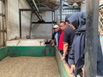 Barantin Palembang Tinjau Pabrik Kopi di Lahat, Ini Tujuannya