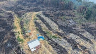3 Pembakar Lahan Ditangkap Polres Rohul, AKBP Emil: Mari Lindungi Hutan