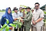 Mewujudkan Arahan Prabowo, Menhut Target Bagikan 17 Juta Bibit Pohon