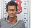 Curi 113 Tandan Sawit, Pria asal Tanjung Lago Ditangkap Polisi