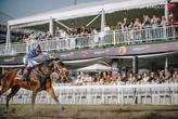 Triple Crown, Gelar yang Susah Diraih di Pacuan Kuda, Kok Bisa? Ini Penjelasannya