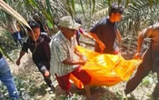 Sempat Dikira Bangkai Hewan, Mayat Pria di Kampar Bikin Gempar
