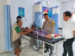 Petani Riau Duel Melawan Tiga Harimau di Hutan
