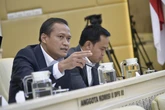 Versi Anak Buah Prabowo, Stabilitas Nasional Jadi Fondasi Demokrasi di Indonesia