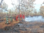 6 Helikopter Water Bombing Dikerahkan untuk Padamkan Karhutla di Sumsel