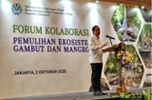 Menteri LH Berkomitmen Pulihkan Ekosistem Gambut dan Mangrove Lewat Kolaborasi Lintas Sektor