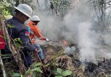 Cegah Karhutla, NHM Bersama Aparat Latih Tim Tanggap Darurat di Maluku Utara.