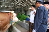 Resmikan RPH Halal di MAJT MAS, Wagub Jateng Taj Yasin Dorong Ekosistem Produk Halal Terus Bertumbuh