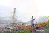 Kebakaran Lahan di Aceh Barat Meluas, BPBD: Upaya Pemadaman Masih Terus Dilakukan
