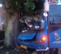 Bus Damri Tabrak Pohon di Bandung, Sopir Sempat Terjepit