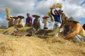 BULOG Marauke & Bombana Optimalkan Penyerapan Gabah dan Beras dari Petani
