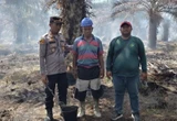 Polres Rohil Tangkap Pembakar Lahan di Kawasan Hutan Produksi Balai Jaya  