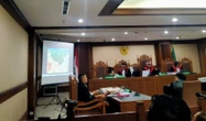 Sidang Sengketa Lahan Nikel di Haltim, Ahli Ungkap Indikasi Penambangan di Luar Batas