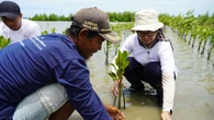 Cegah Abrasi, PERURI Tanam 2.000 Pohon Mangrove di Pesisir Tanjung Pakis