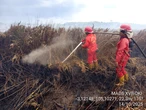Karhutla Makin Parah, Sumsel Masuk Zona Merah