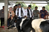 Wamentan Harvick Minta Peternak Tingkatkan Populasi Sapi Perah Lewat Cara Ini