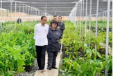 Menteri Siti Dampingi Presiden Jokowi Tinjau Persemaian Mentawir di IKN