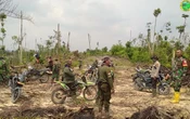 Perambah Hutan di TNTN Sabotase Jalur Petugas Patroli, Pasang Ranjau Paku
