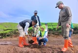Lestarikan Alam, Camat Rancabali Bersama Jajaran Tanam 1.200 Pohon di Peringatan HMPI 2023