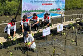 Pertamina International Shipping Tanam 10 Ribu Mangrove