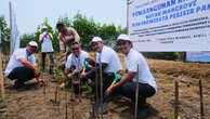 ASDP Tanam 3 Ribu Bibit Mangrove di Tangerang, Wujud Komitmen Jaga Kualitas Perairan