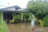 Banjir Landa Sejumlah Wilayah di Kampar, 985 Rumah Warga Terdampak