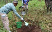 Polsek Singingi Hilir dan WWF Tanam Bibit Pohon di Suaka Margasatwa Rimbang Baling