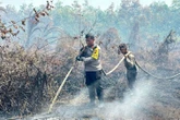 Kawasan Suaka Margasatwa Rimbang Baling Dibakar, Pelaku Langsung Ditangkap