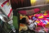 Kasus DBD di Bantul Tembus 453, Dinkes Imbau Warga Aktif Lakukan PSN