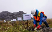 Kunker ke PTFI, Tim KLHK & Bappenas Tanam Rumput Endemik di Ketinggian 4.300 Mdpl