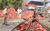 21 Ton Bawang Bombay Ilegal Dimusnahkan Polda Riau