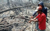 Bakar Lahan untuk Buka Kebun Sawit, Petani di Rohil Diamankan Polisi