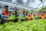 Pertamina Grup Bantu Kelompok Hidroponik Sehati di Dumai untuk Manfaatkan Energi Hijau