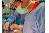 Heboh Organ Jantung Bule Australia Hilang di Bali, Keluarga Diminta Bayar AUD 700