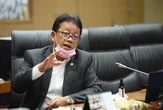 DPR: Migrasi ke Kompor Listrik Dapat Tekan Impor LPG Hingga 8 Juta Ton