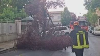 Ancora maltempo in Friuli, supercella causa danni e disagi da ovest a est